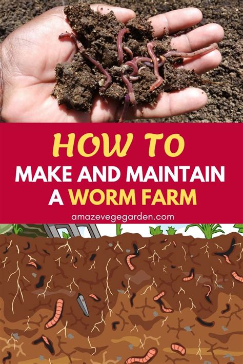 worm farms in arkansas